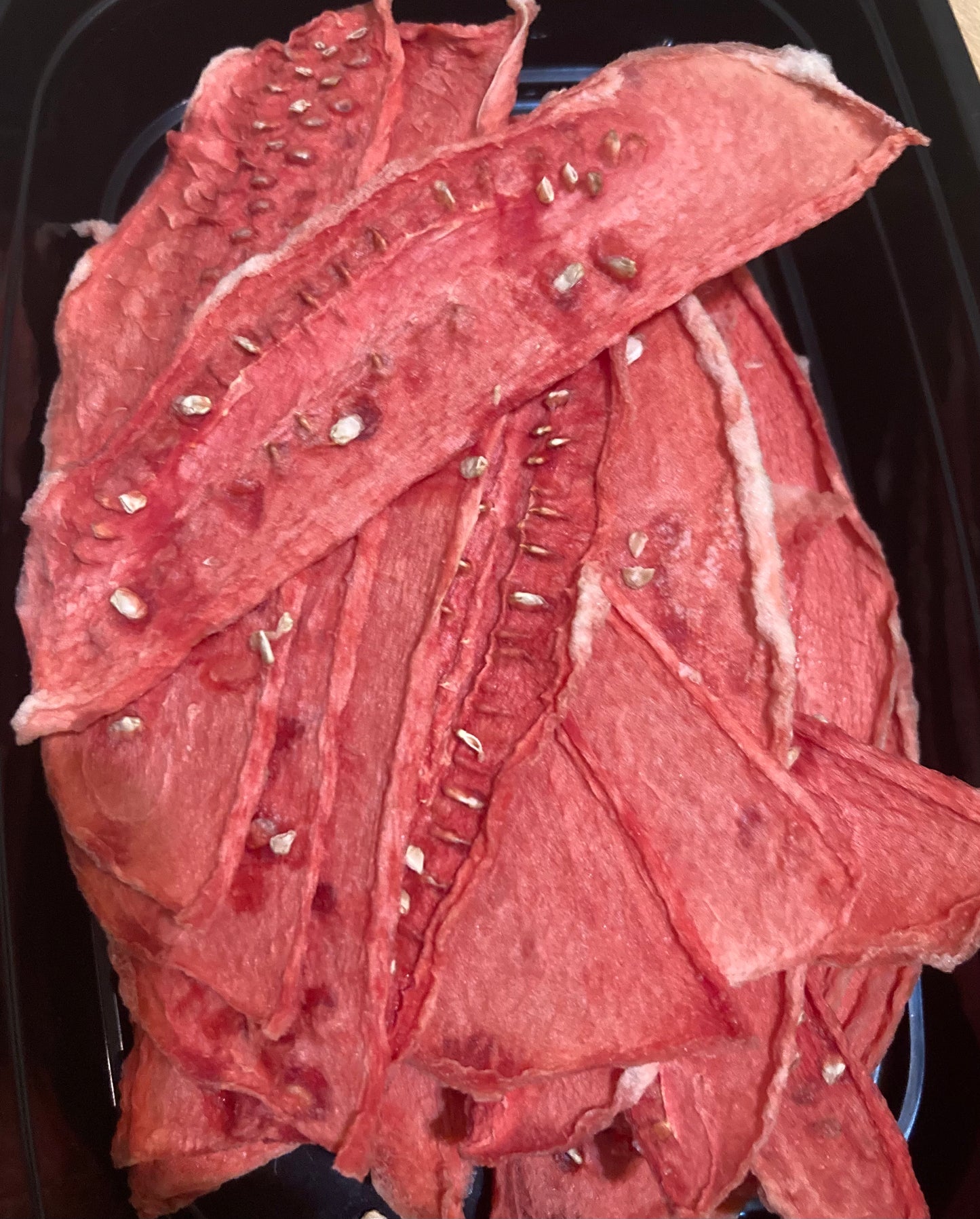 Fruities: Chili Lime Watermelon Jerky